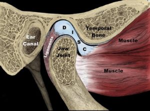 disco Temporo-mandibolare