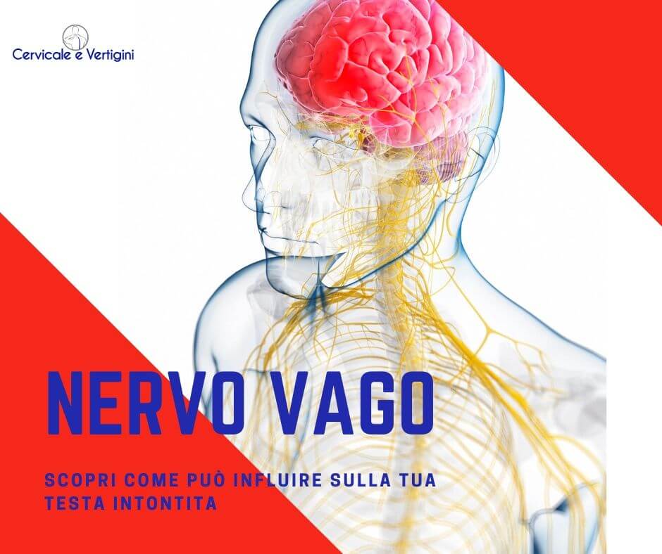 nervo vago testa pesante e confusa