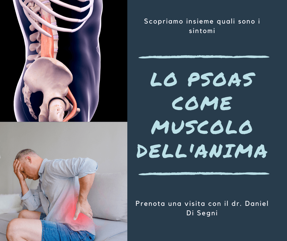 ileopsoas muscolo anima