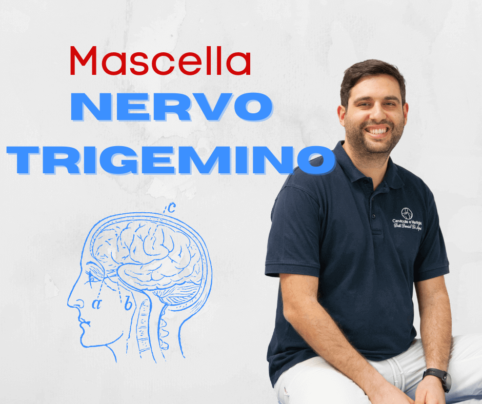 mascella nervo trigemino