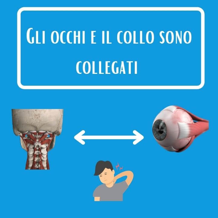 occhi cervicale collegamento