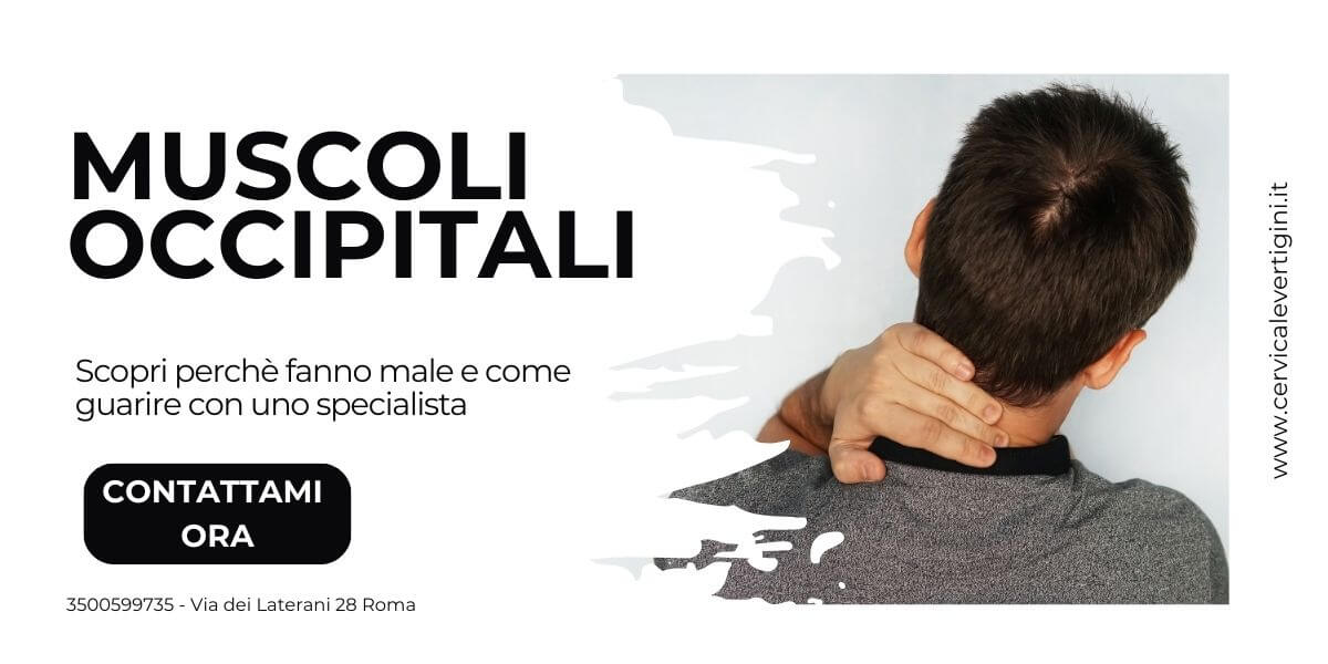 muscoli occipitali copertina