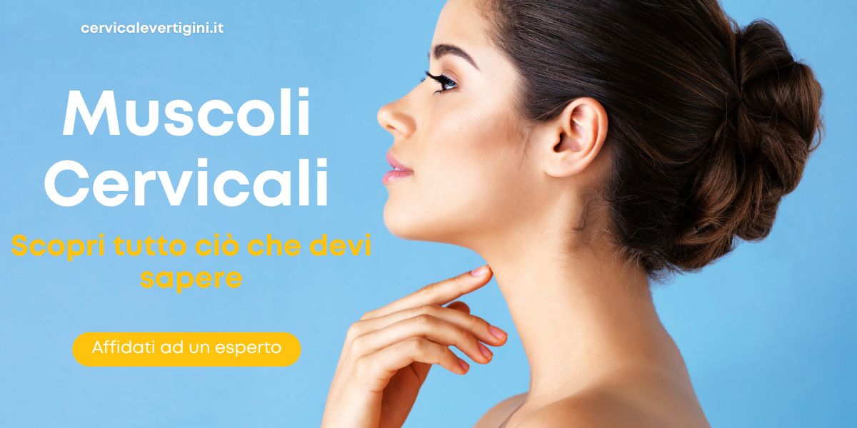 muscoli cervicali copertina