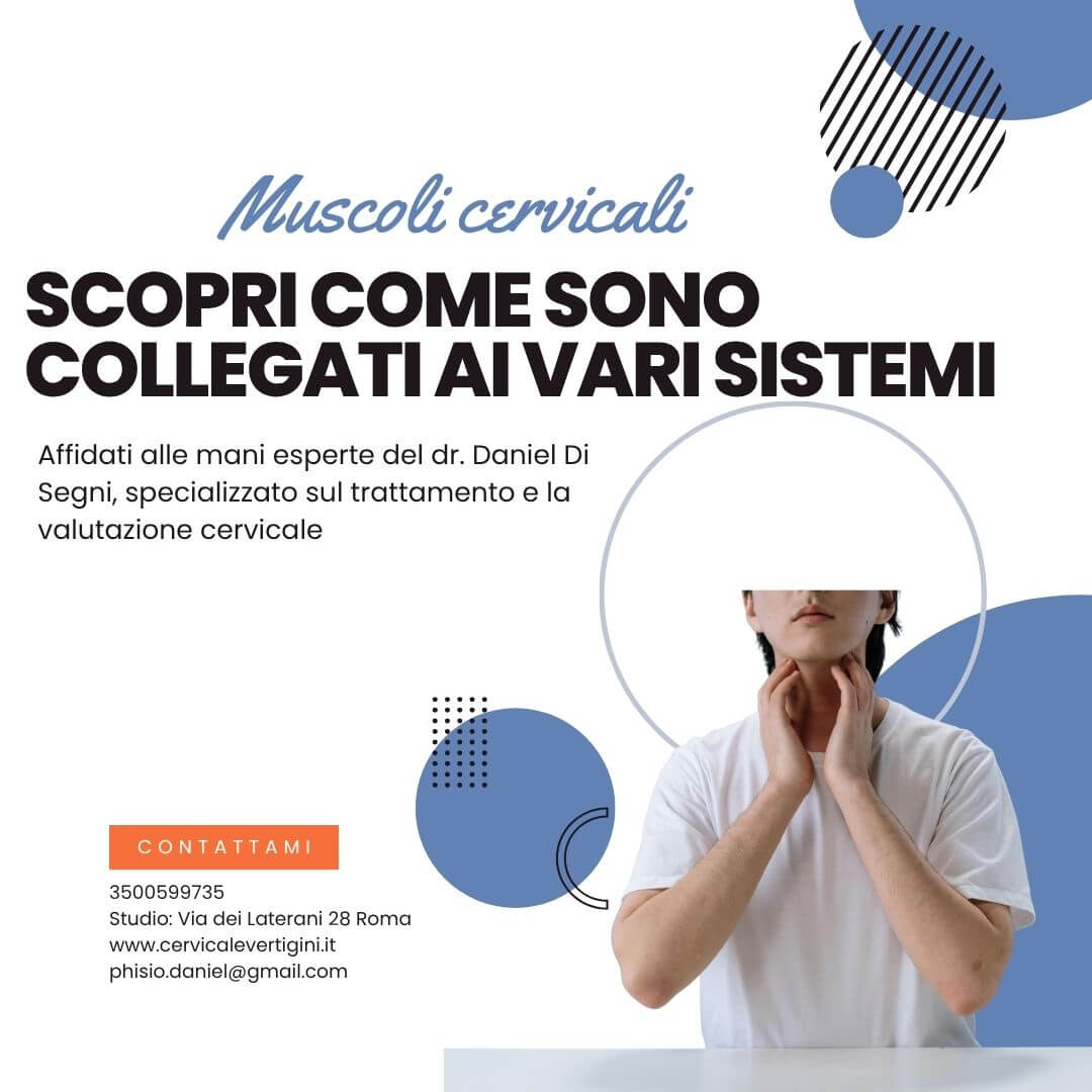 muscoli cervicali e sistemi collegati