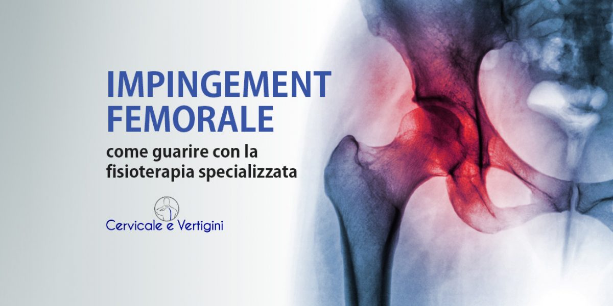 muscoli dellanca e dellinguine